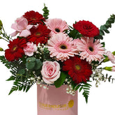 Enchanting Gerbera Bloom Box - Joyous Shades
